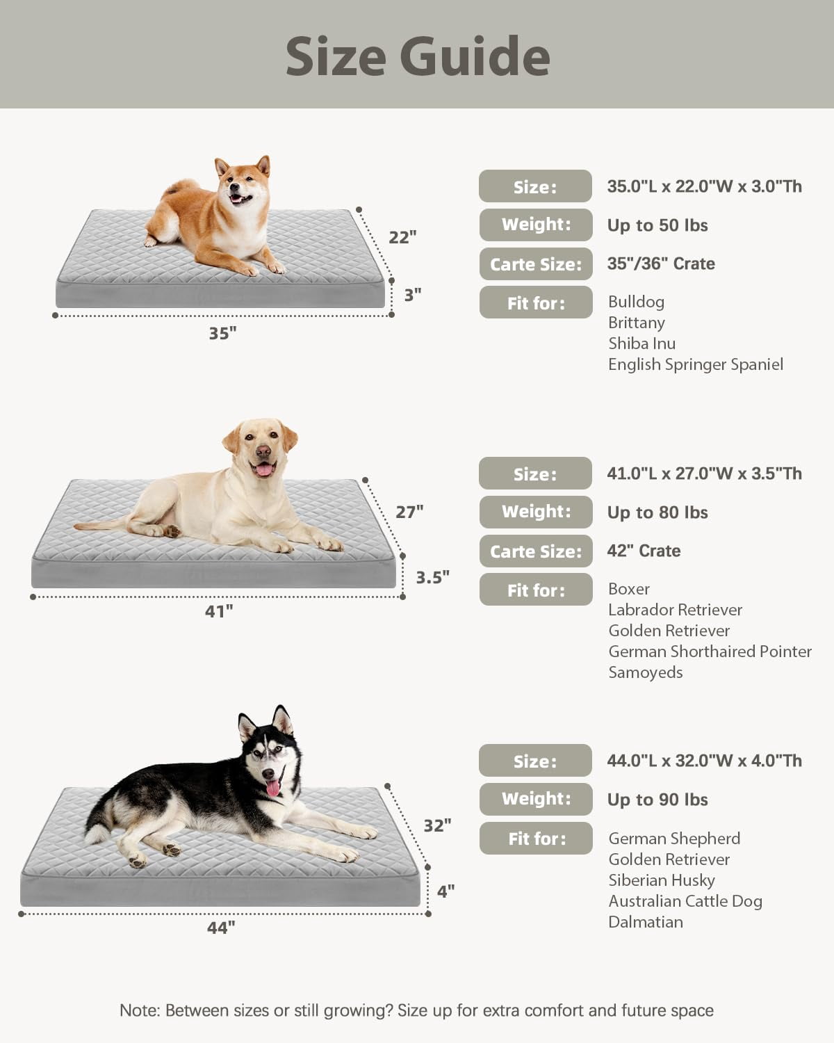 Extra Large Dog Bed Light Gray 41"L x 27"W x 3.5"Th Orthopedic Waterproof with Removable Cover