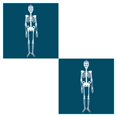 thumbnail image 4 of Matsuzay Esqueleto luminoso de Halloween de 32/90/150cm, accesorio de terror para exteriores, decoración de fiesta de pared, simulación de Esqueleto Hombre 90cm 2piezas, 4 of 6