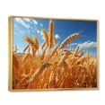 thumbnail image 2 of Designart "Harvesting Gold in Canada I" Farmhouse Floater Framed Wall Art Print, 2 of 7