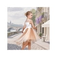 thumbnail image 4 of Sunny Fashion Girls Dress Puppy Fluffy Dog Pet Embroidery High Low Sleeveless Tulle Party Casual 8 Years, 4 of 8