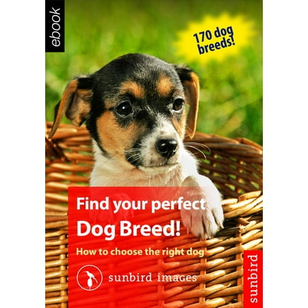 Find your perfect Dog Breed! How to choose the right dog -