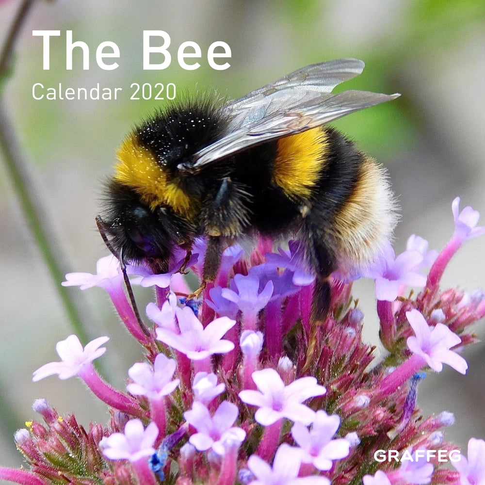 The Bee Calendar 2020 (Calendar)