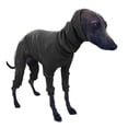 thumbnail image 1 of Mascota Perro Galgo Jumper Tire Ropa protectora de invierno esquí esquí Gafas de esquí, 1 of 2