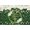 5x3ft, variant on God Bless Baptism Backdrop Green Leaves First Holy Communion Christening Background Religious Bible Church Events Baby Shower Wedding Party Decoration Banner Photo Booth Props