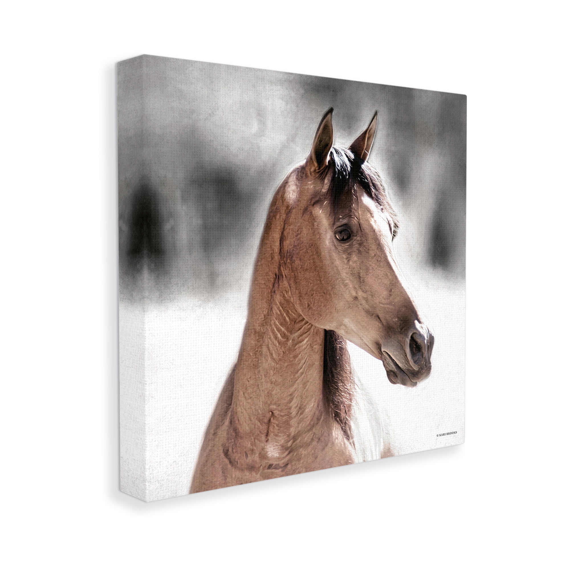 Stupell Industries Brown Foal in Snow Animals & Insects Photography Gallery Wrapped Canvas Art Print Wall Art, 17 x 17