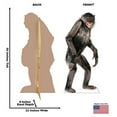 thumbnail image 5 of Advanced Graphics 1487 Chimpanzee - 56" x 23" Cardboard Standup, 5 of 5