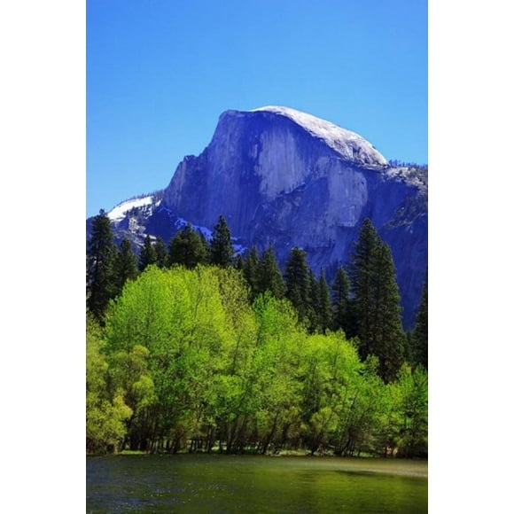 View of Half Dome rock and Merced River, Yosemite National Park, California Poster Print by Jaynes Gallery (12 x 17)