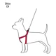 thumbnail image 4 of Correa Con Pechera Para Perro 1cm Ancho Fiero, 4 of 5