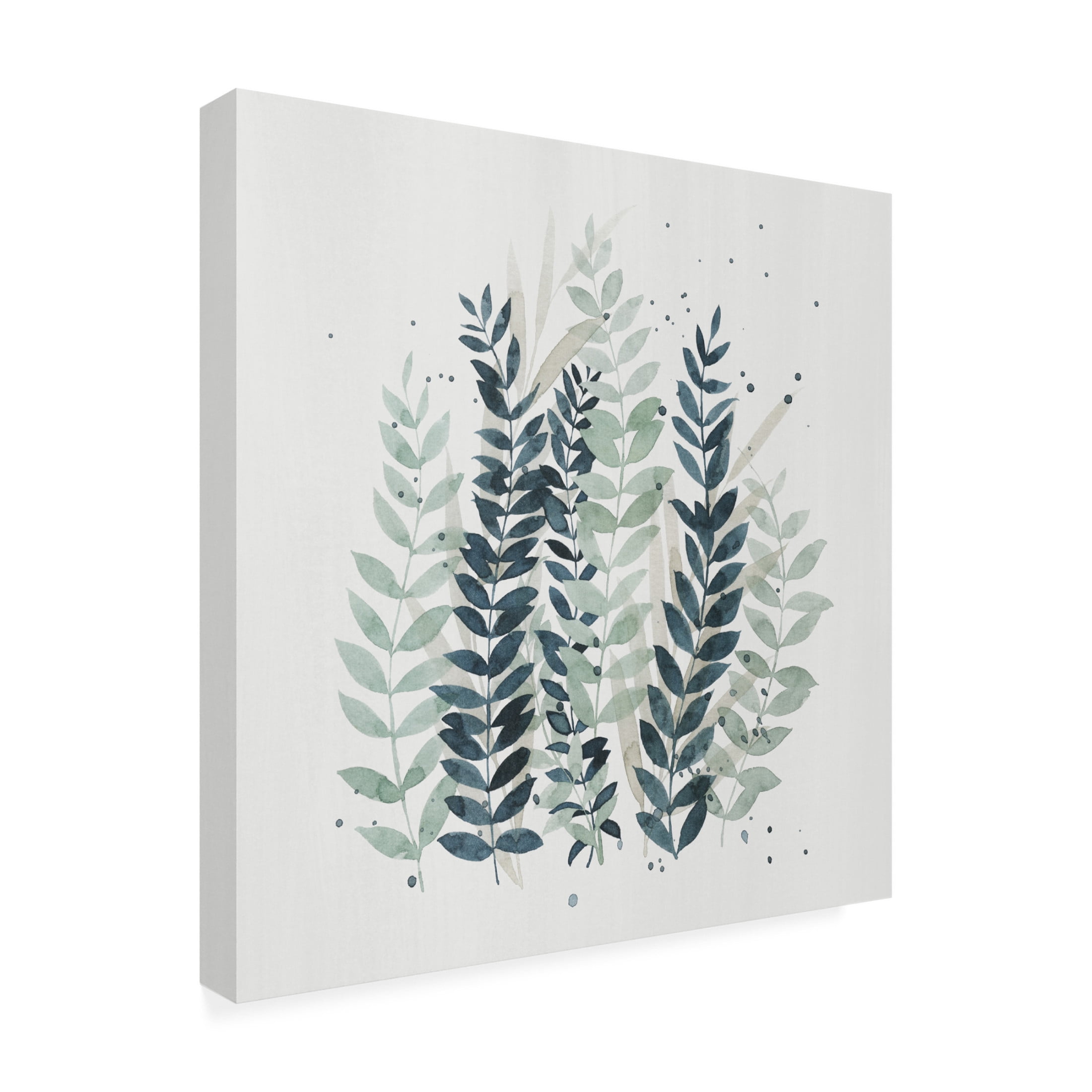 Trademark Fine Art Grace Popp  Darling Wisp I Canvas Wall Art