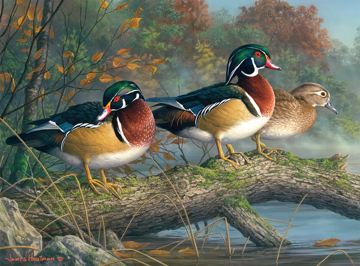 Buffalo Games 1000-Piece Colorful Wood Ducks Jigsaw Puzzle