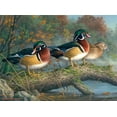 thumbnail image 4 of Buffalo Games 1000-Piece Colorful Wood Ducks Jigsaw Puzzle, 4 of 5