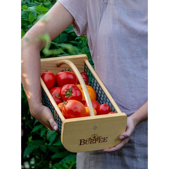 Burpee Garden Kitchen Hod