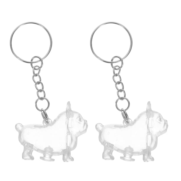 GOOHOCHY 2 colgantes conmemorativos de pelo de perro, recuerdo de pelo de gato, llavero de recuerdo para mascotas, ideal para coleccionar amantes de los perros y los gatos.