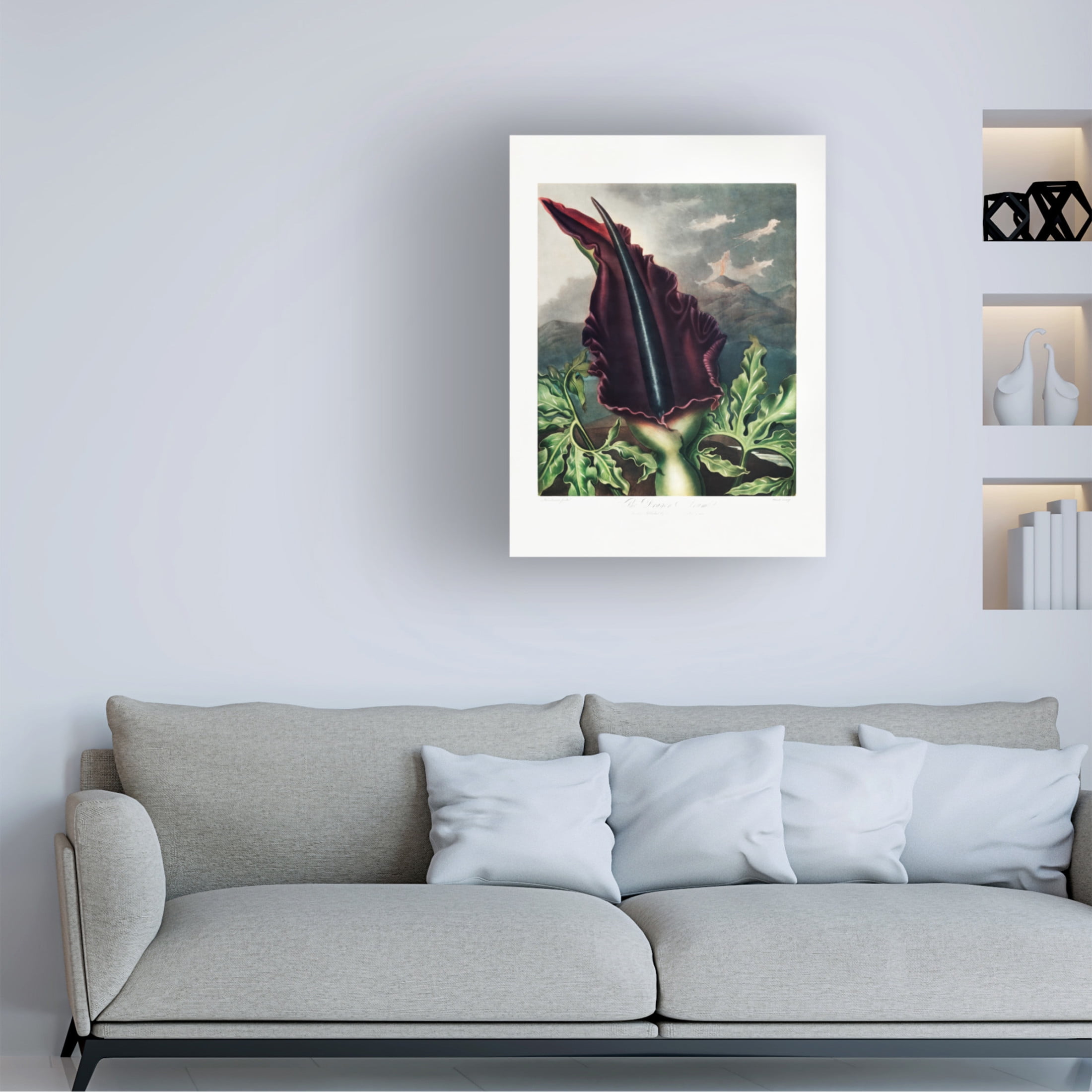Trademark Fine Art Pictufy  The Dragon Arum from The Temple of Flora 1807 Canvas Wall Art