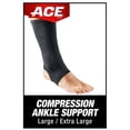 thumbnail image 2 of Tobillera de compresión marca ACE, color negro, talla L/XL, 2 of 9