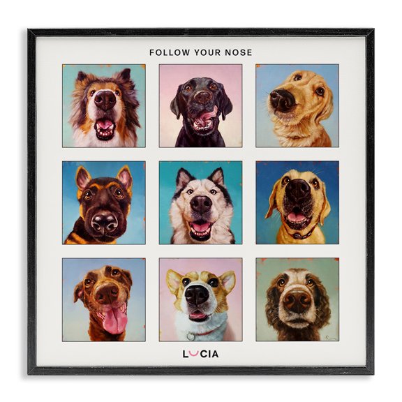 Stupell Industries Bohemian Follow Your Nose Dogs Black Framed Giclee Art, 12 x 12, by Lucia Heffernan