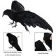 thumbnail image 2 of Feathered Crows Looking Realistic Crow, Black Feathered, 2 of 5