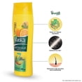thumbnail image 4 of Dabur Vatika Anti Dandruff Shampoo, 340Ml, 4 of 4