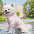thumbnail image 5 of Pink L Size Pet Hooded Vest, Dog Cat Apparel for Spring Summer - Mesh Fabric, Striped Pattern, Hooded Design, Breathable, Lightweight & Skin-Friendly - for Small Medium Dogs Cats, Daily Wear, Outdoor, 5 of 6