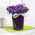thumbnail image 4 of DELTINI Cream White High Gloss, Self-watering Small Indoor Planter, H7.5 L5.9 W5.9 in, 4 of 9
