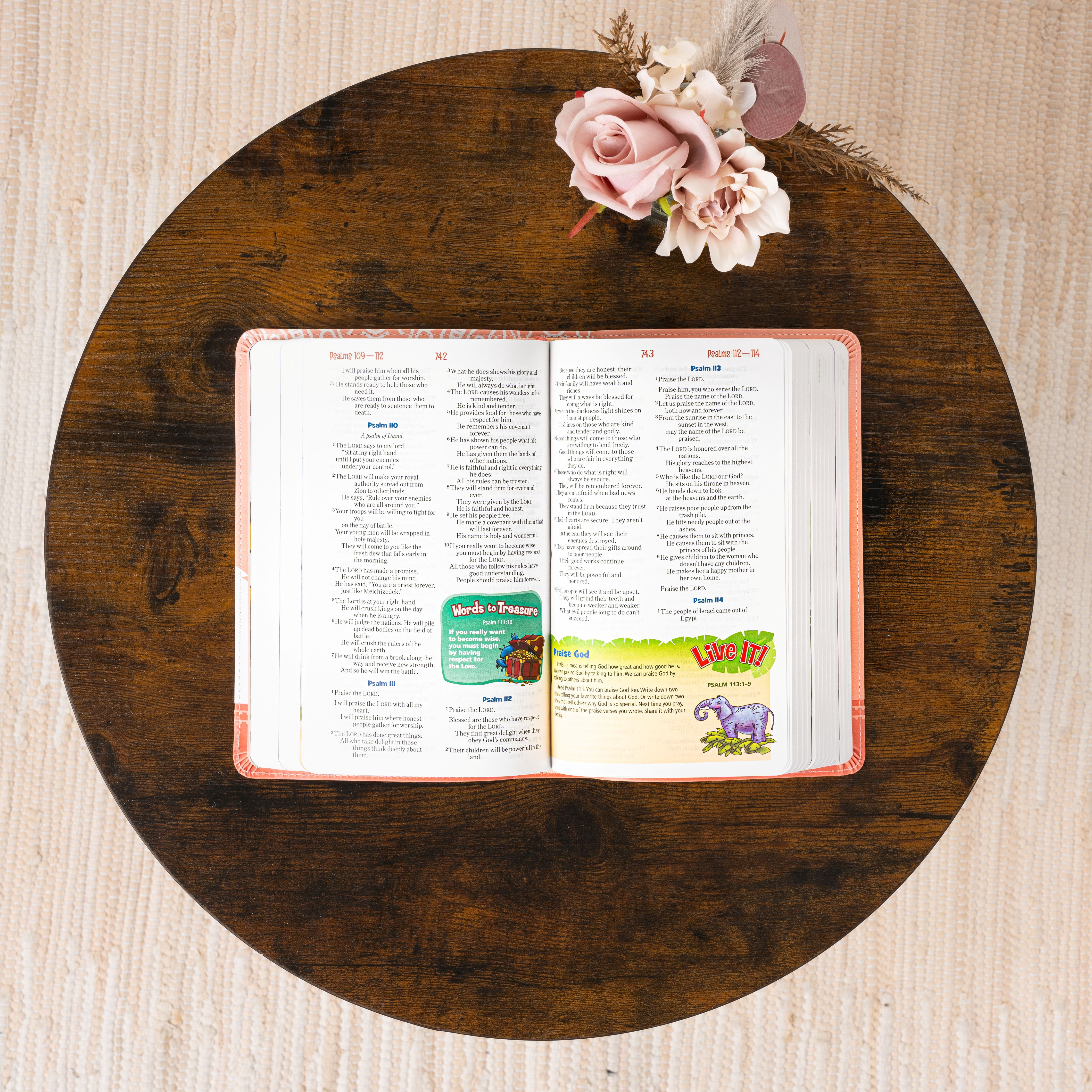 Personalized Adventure Bible for Youth, NIrV Youth Bible with Name Engraved, Early Readers Custom Bible, Christian gifts, Baptism gift