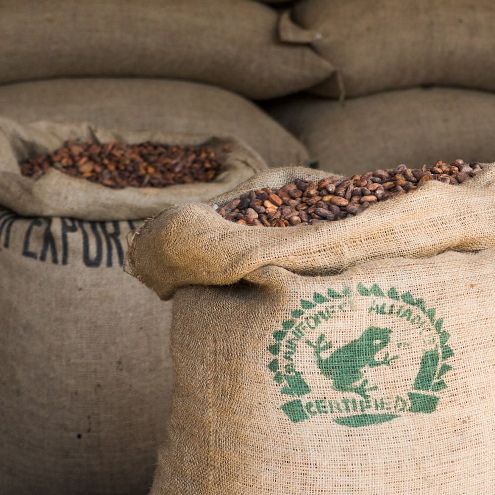 Magnum® Double Chocolate Hazelnut Ice Cream 3x90mL