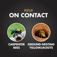 thumbnail image 3 of Spectracide Carpenter Bee & Ground-Nesting Yellowjacket Killer Foaming Aerosol, 16-oz, 3 of 11