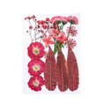 thumbnail image 1 of Flores prensadas secas, juego de flores de , hermosa artesanía, fabricación de velas, Material de fabricación DIY para pantallas de , rosa china, 1 of 8