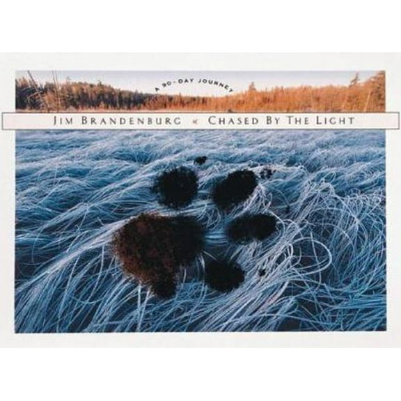 Pre-Owned Chased by the Light: A 90-Day Journey (Hardcover) 1559716711 9781559716710