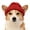 Red, variant on Knit Dog Beanie with Ear Flaps,Warm Winter Hats,Dog Knits Hat,Knitted scarf with ear holes,Soft Stretchy Puppy Knit Cap for Cold Weather,Winter Hats for Small & Medium PetsStylish