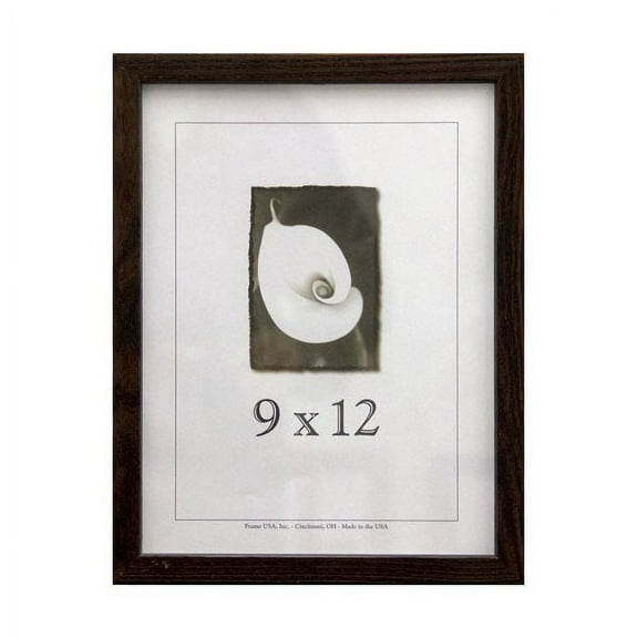 Frame USA Architect Picture Frame 10.125W 3.875H