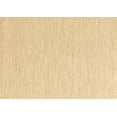 thumbnail image 1 of Ahgly Company Indoor Rectangle Solid Brown Modern Area Rugs, 2' x 3', 1 of 4