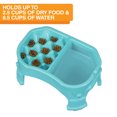 thumbnail image 4 of Neater Pet Brands Raised Neater Slow Feeder Double Diner - Elevated & Adjustable Feeding Height - Improves Digestion, Stops Obesity, and Slows Down Eating, Aquamarine, 4 of 11
