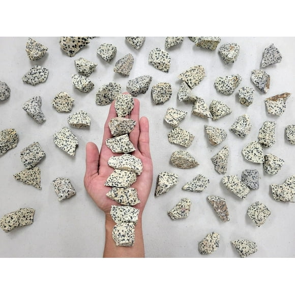 Rough Dalmatian Jasper Crystal Stones Mexico Bulk Rocks for Tumbling Lapidary