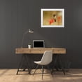 thumbnail image 3 of Waldmann, Shlomo 18x15 White Modern Wood Framed Museum Art Print Titled - Bulbul with Nandina, 3 of 4