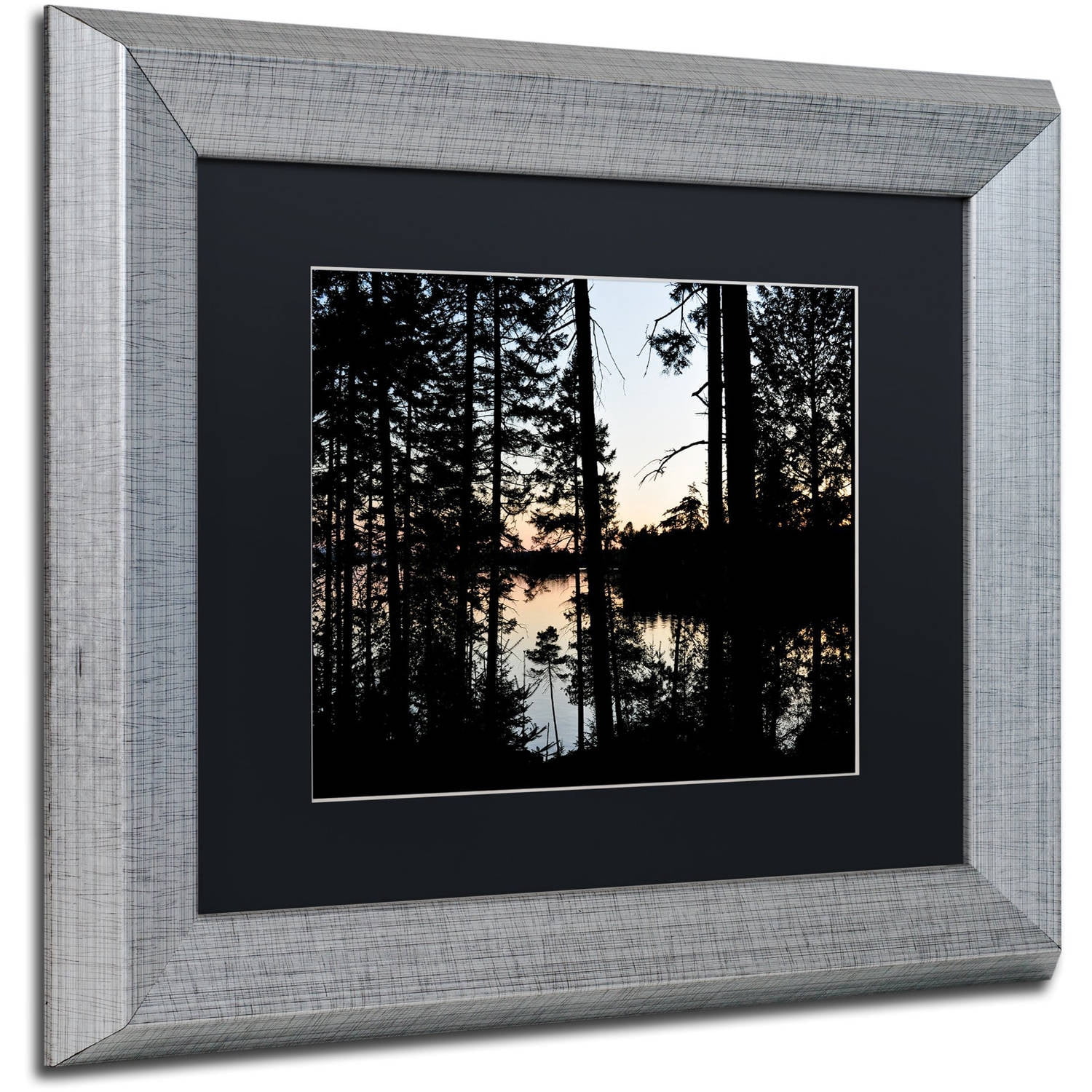 Trademark Fine Art 'Sunset Through the Trees' Canvas Art by Nicole Dietz, Black Matte, Silver Frame