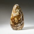 thumbnail image 3 of Genuine Fancy Jasper Freeform From Madagascar (3 lbs), 3 of 3