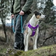 Kurgo Journey Air Dog Harness, Vest Harnesses for Dogs, Pet Hiking Harness for Running & Walking