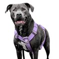 thumbnail image 1 of Spark Paws Arnés Para Perro Grande Sin Tirones, Diseño Halter Con Clip Frontal, Duradero Y Resistente Para Razas Grandes Y Fuertes, Color Morado - Grande, 1 of 1