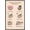 Barnwood Framed Version, variant on Pusheen - Thankful Wall Poster with Push Pins, 14.725" x 22.375"