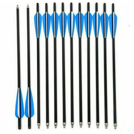 Archery Carbon 17 Crossbow Bolts with 4 vanes & Replaced Arrowhead