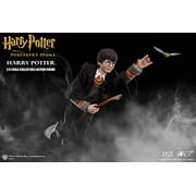Harry Potter and the Sorcerers Stone Harry Potter 1/6 Scale Action Figure