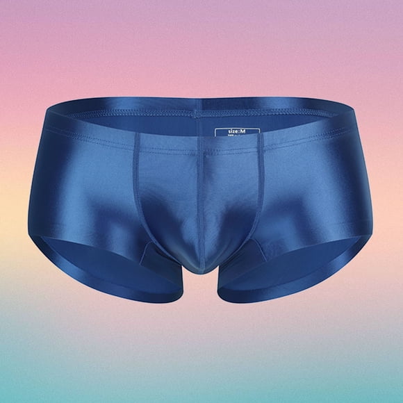 Men's Underwear Breathable Sheer Shiny Low Rise Briefs for Daily Comfort and All-Season Wear