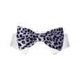 thumbnail image 1 of Pooch Outfitters PRPP-M Nœud Papillon Roberto, Violet - Moyen, 1 of 1
