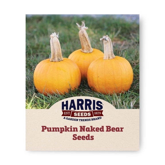 Harris Seeds Naked Bear F1 Pie Pumpkin, Non-GMO Hull-Less Seed Winter Squash Variety, Treated 25 Count
