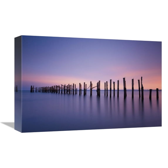 Global Gallery's 'Still Color' By Katherine Gendreau Stretched Canvas Wall Art
