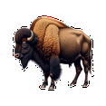 thumbnail image 4 of realistic,detailed,vivid Buffalo Stickers, Waterproof Buffalo Sticker for Water Bottle Laptop Phone Cases Planner Skateboard Luggage Helmet Party Favor Decor, Ideal for Adults Teens Teacher Rewards, 4 of 9