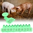 thumbnail image 4 of Numbered  Ear Tag Signs Marking Labels with Numbers for Farm Animal Identification, 4 of 7