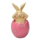 thumbnail image 5 of 3 conejito de resina con decoraciones de cáscara de huevo figuritas de Pascua de primavera adorno de jardín accesorios de mesa para fiesta en casa esquí esquí Gafas de esquí, 5 of 5