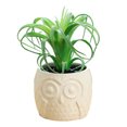 thumbnail image 1 of Simulación de suculentas, bonsái, búho, macetas de cerámica, pequeños adornos creativos, plantas artificiales, 1 of 5